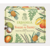 VIAGGIO AI TROPICI SCATOLA REGALO - 20 BUSTE DI INFUSI ALLA FRUTTA CON UNA TAZZA IN REGALO