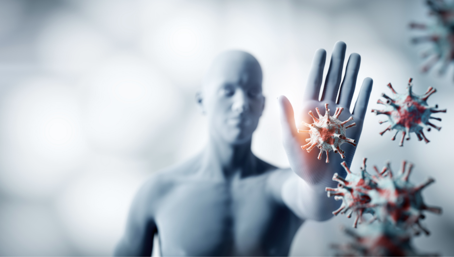 Il nostro blog Il nostro blog