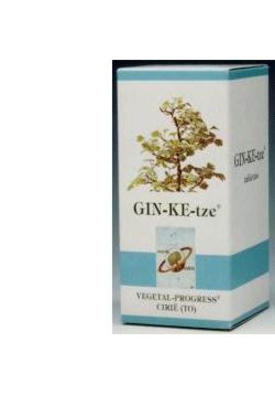 GINKETZE BIO 80TAV 600MG