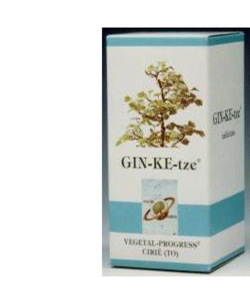 GINKETZE BIO 80TAV 600MG GINKETZE BIO 80TAV 600MG