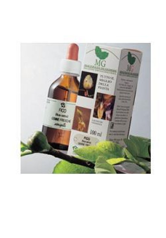 FICO 100ML MG