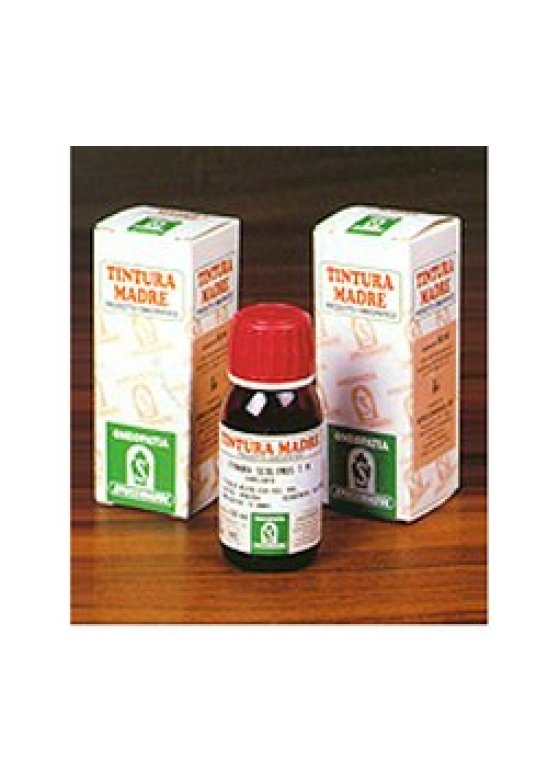 AMAMELIDE 15 50ML TM