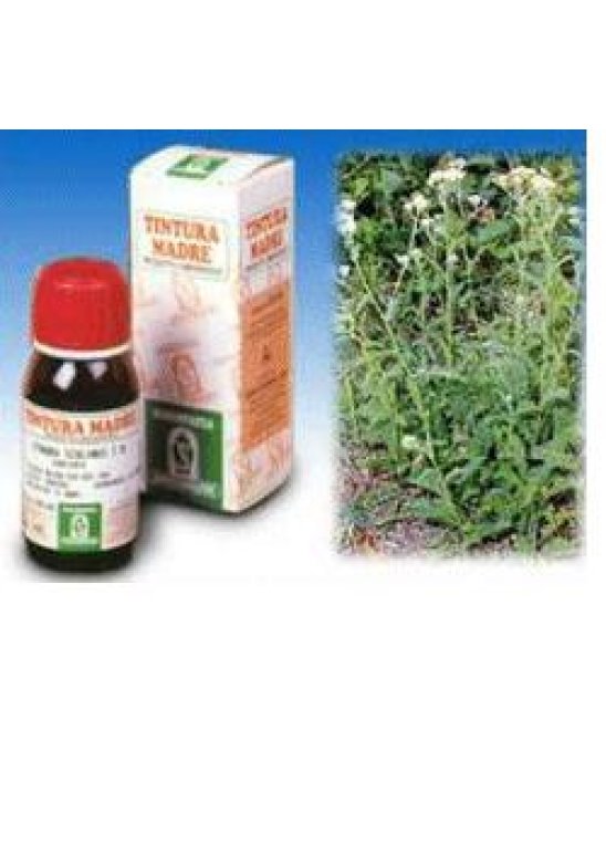 ACHILLEA 51 50ML TM ACHILLEA 51 50ML TM