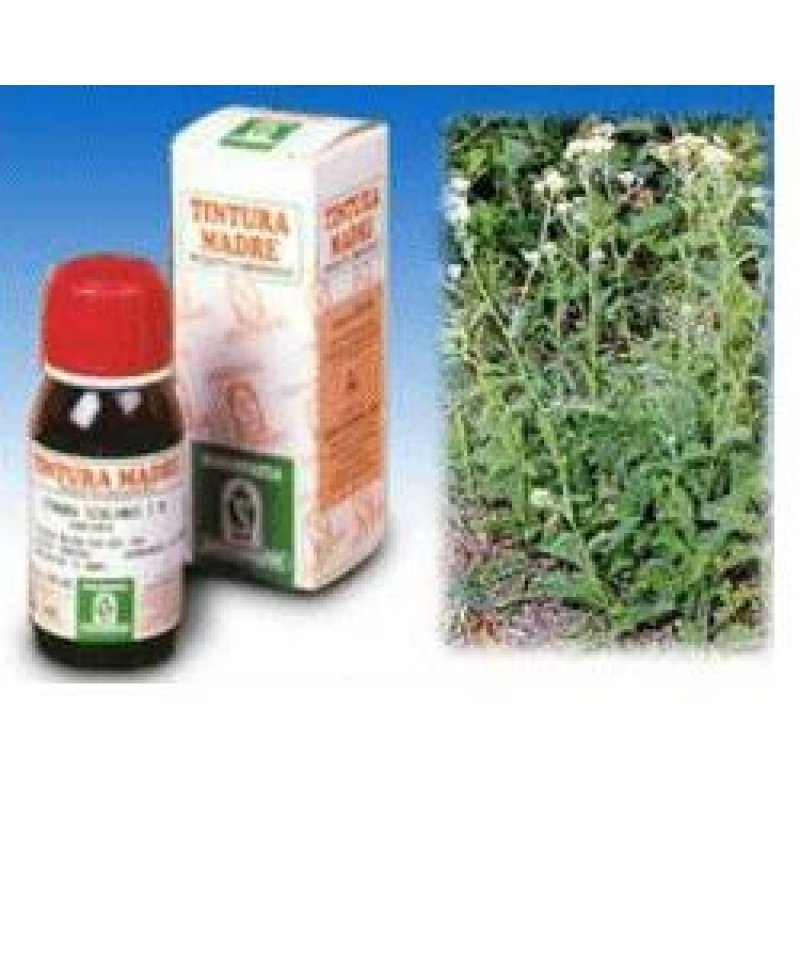 ACHILLEA 51 50ML TM ACHILLEA 51 50ML TM