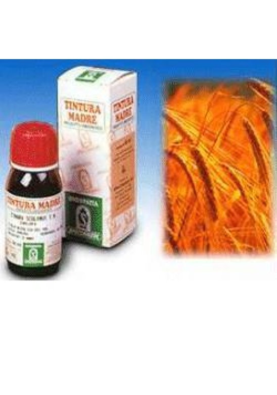AVENA SATIVA 3 50ML TM