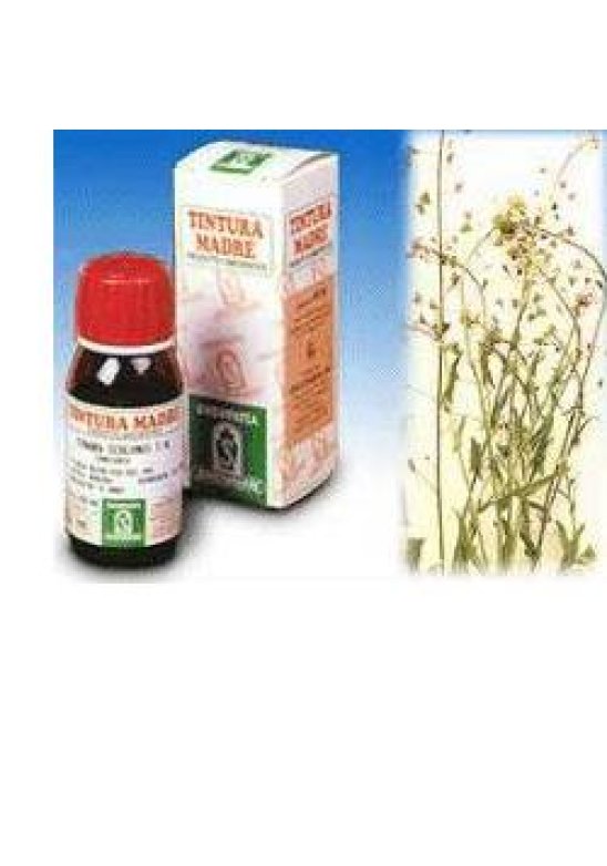 BORSA PASTORE 4 50ML TM