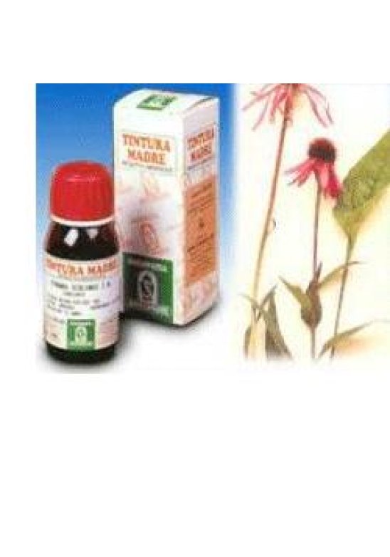 ECHINACEA 59 50ML TM