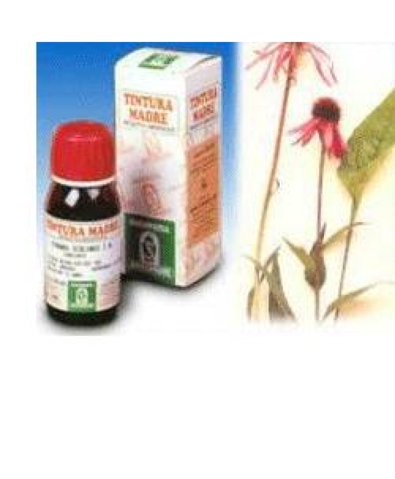 ECHINACEA 59 50ML TM