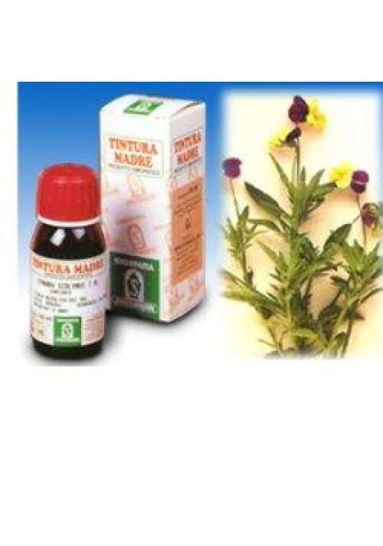 VIOLA DEL PENSIERO 32 50ML TM VIOLA DEL PENSIERO 32 50ML TM