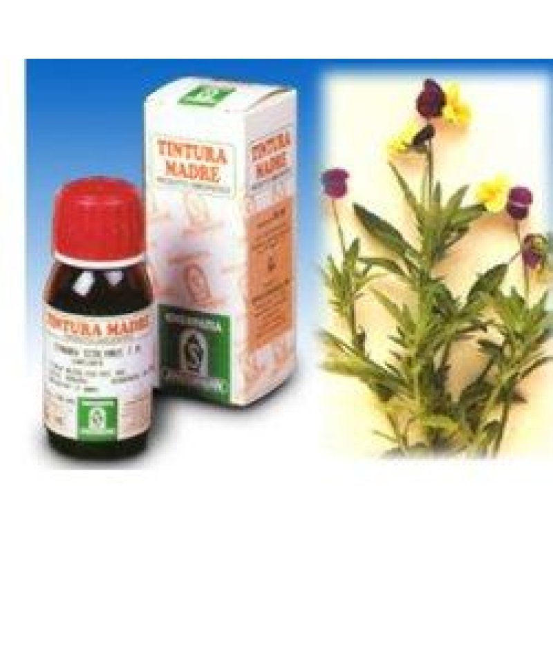 VIOLA DEL PENSIERO 32 50ML TM VIOLA DEL PENSIERO 32 50ML TM