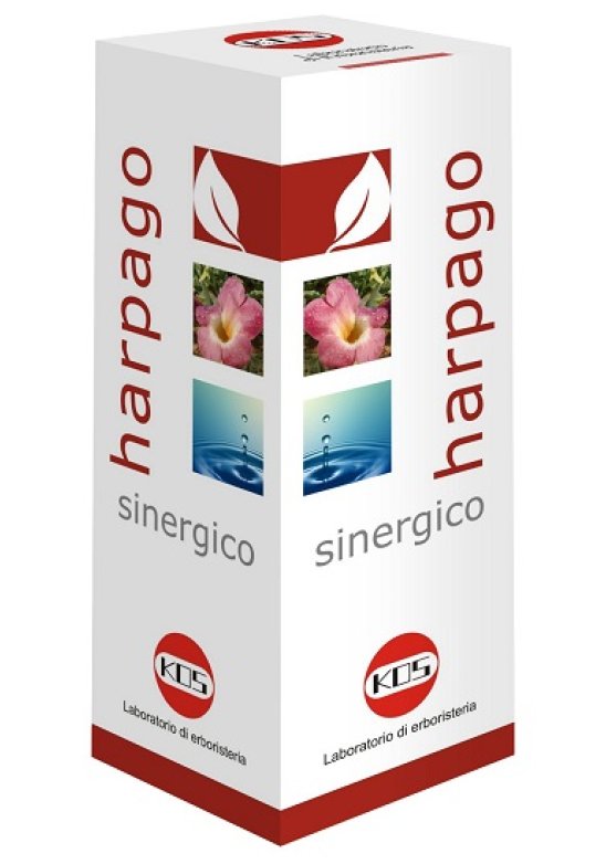 HARPAGO SINERGICO GTT 100ML KO