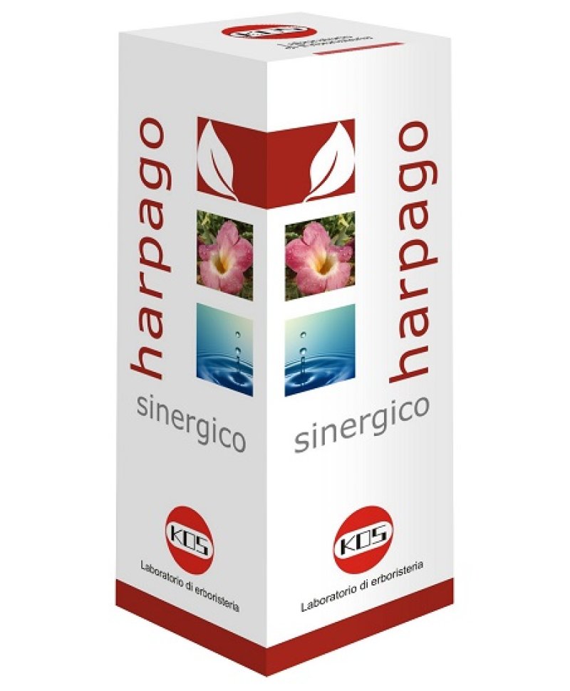 HARPAGO SINERGICO GTT 100ML KO