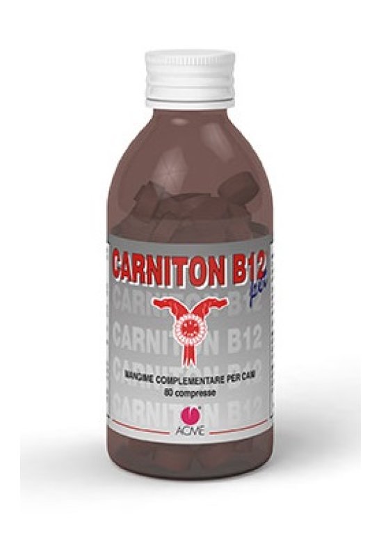 CARNITON B12 PET*80  Compresse 1 G