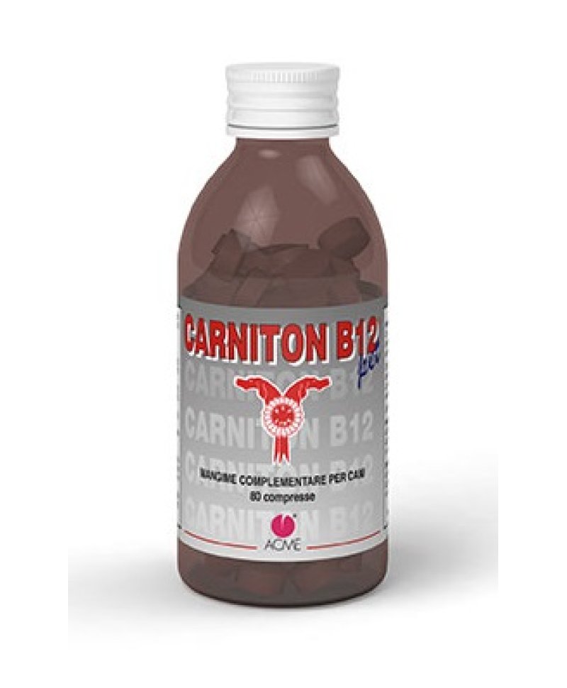 CARNITON B12 PET*80  Compresse 1 G