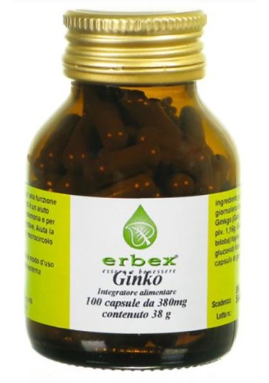 GINKGO BILOBA 100CPS 380MG