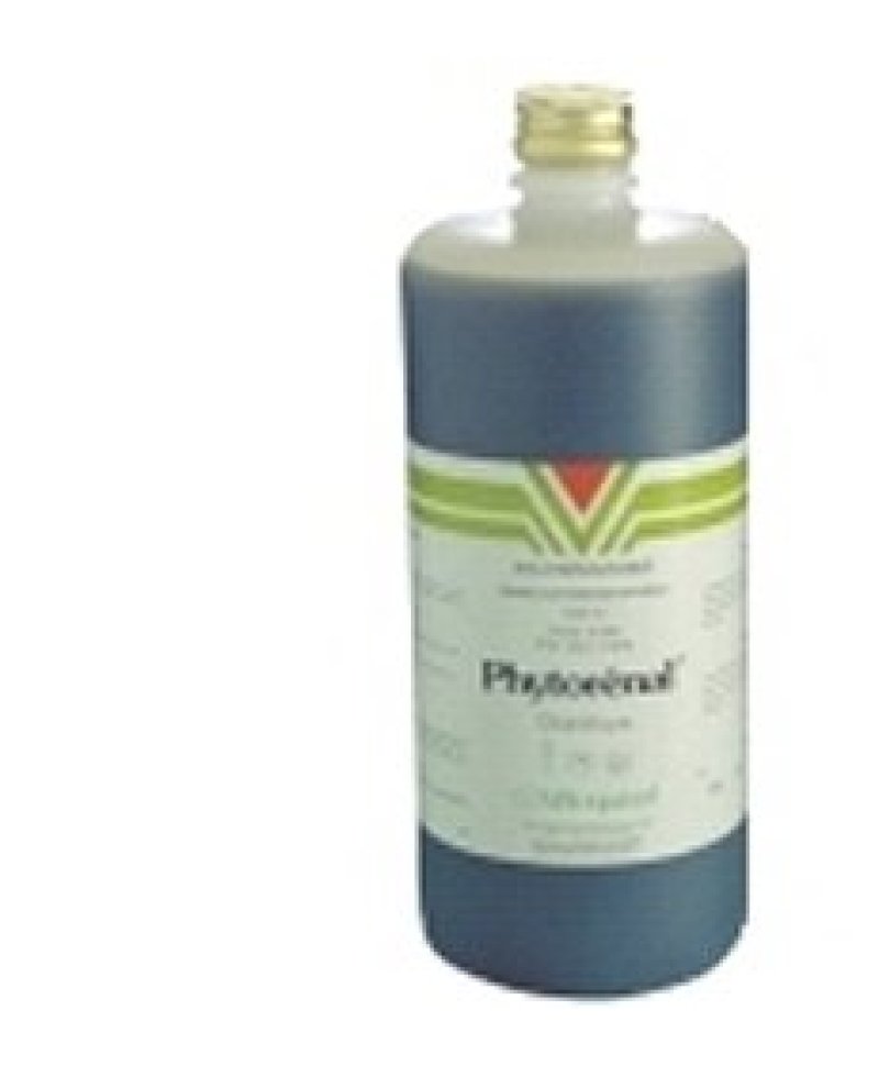 PHYTORENAL*SOL 1000ML