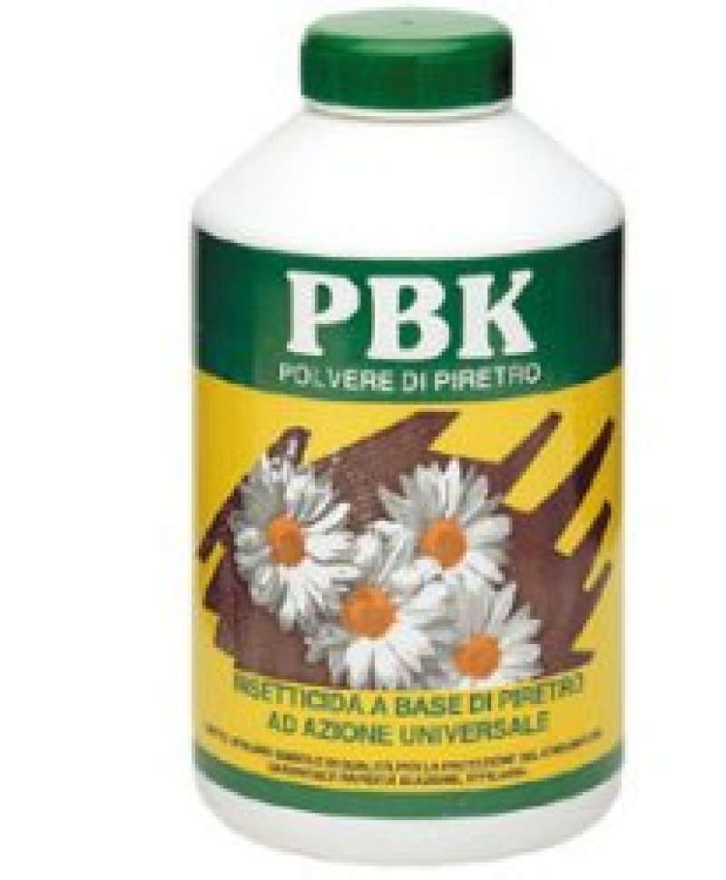 PBK POLV PIRETRO INSETT 250G