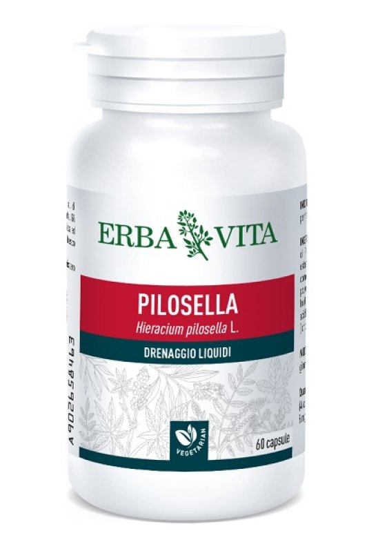 PILOSELLA 60CPS 400MG
