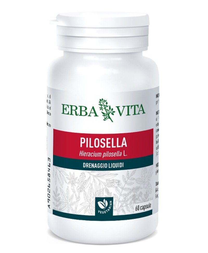 PILOSELLA 60CPS 400MG