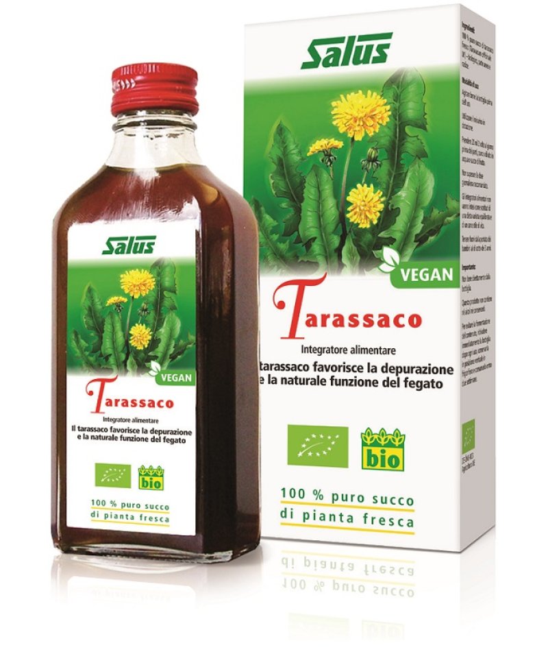 TARASSACO SUCCO 200ML BIO