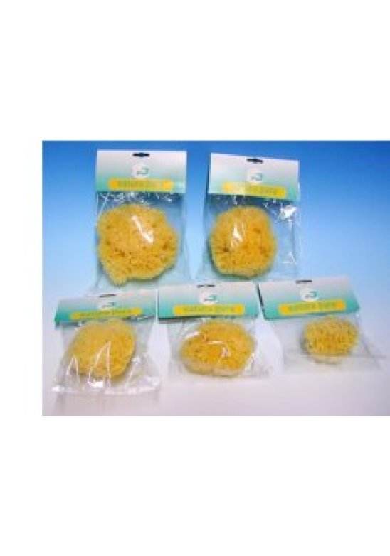 NATURA PURA SPUG NAT 16 BUST