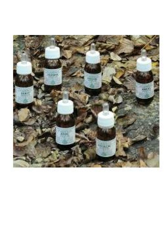 KA PLANTA OLIO MASS 100ML