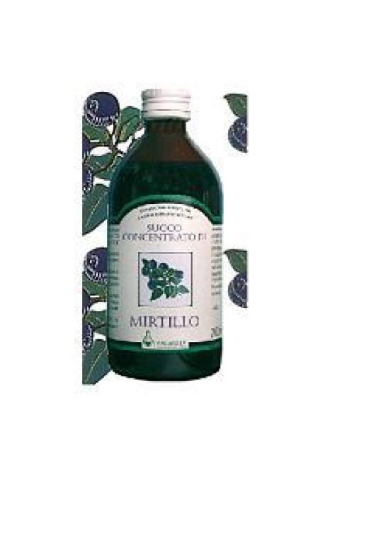 MIRTILLO SUCCO 200ML