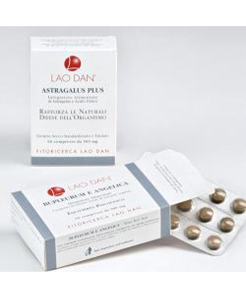 GINSENG SCHISANDRA 60CPR GINSENG SCHISANDRA 60CPR
