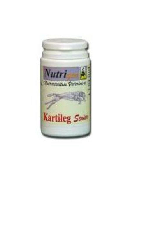 KARTILEG SENIOR 30TAV