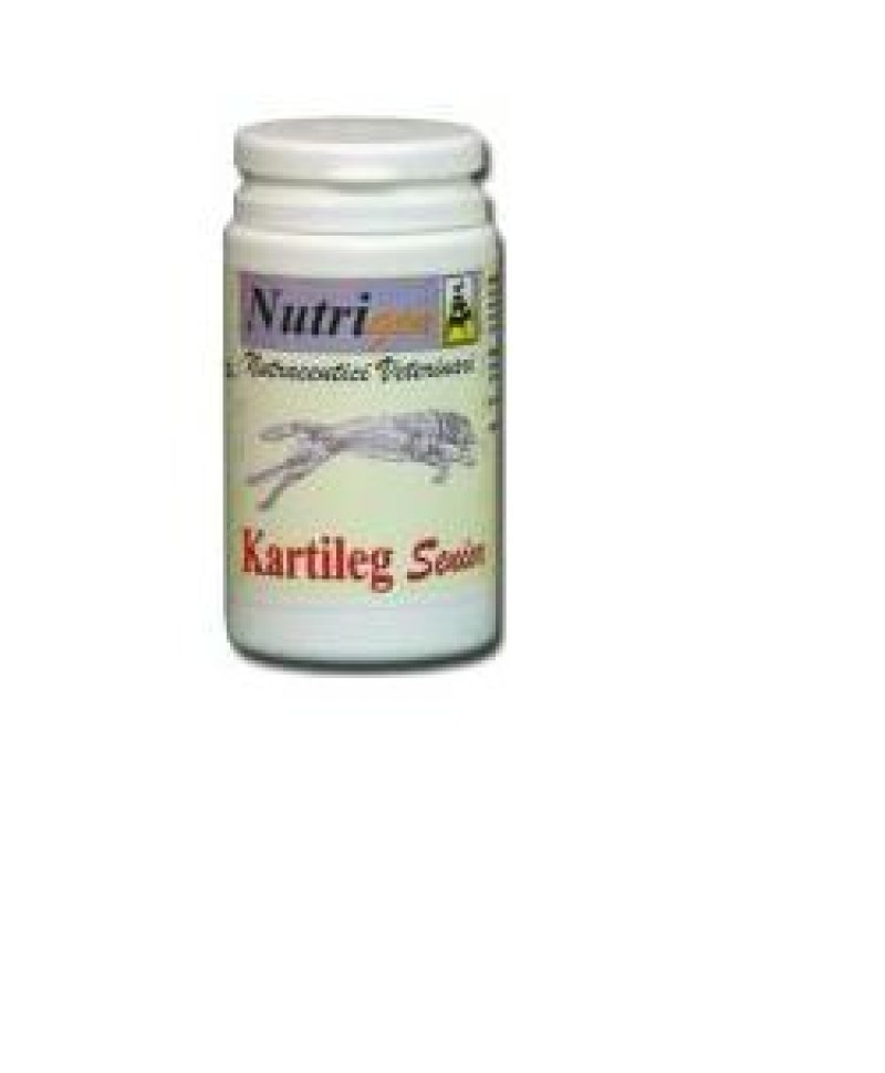 KARTILEG SENIOR 30TAV