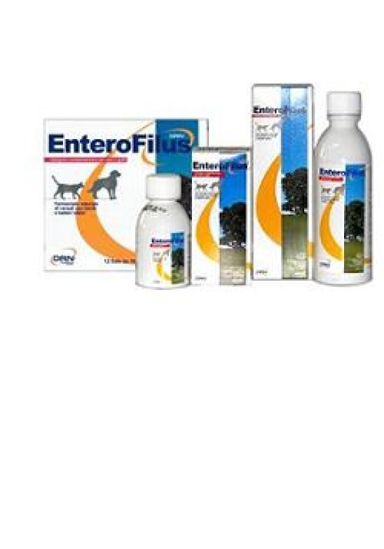 ENTEROFILUS MANG SEMPL 100ML