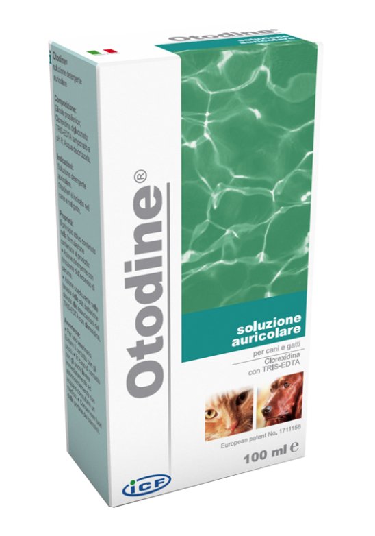 OTODINE DET LIQ 50ML