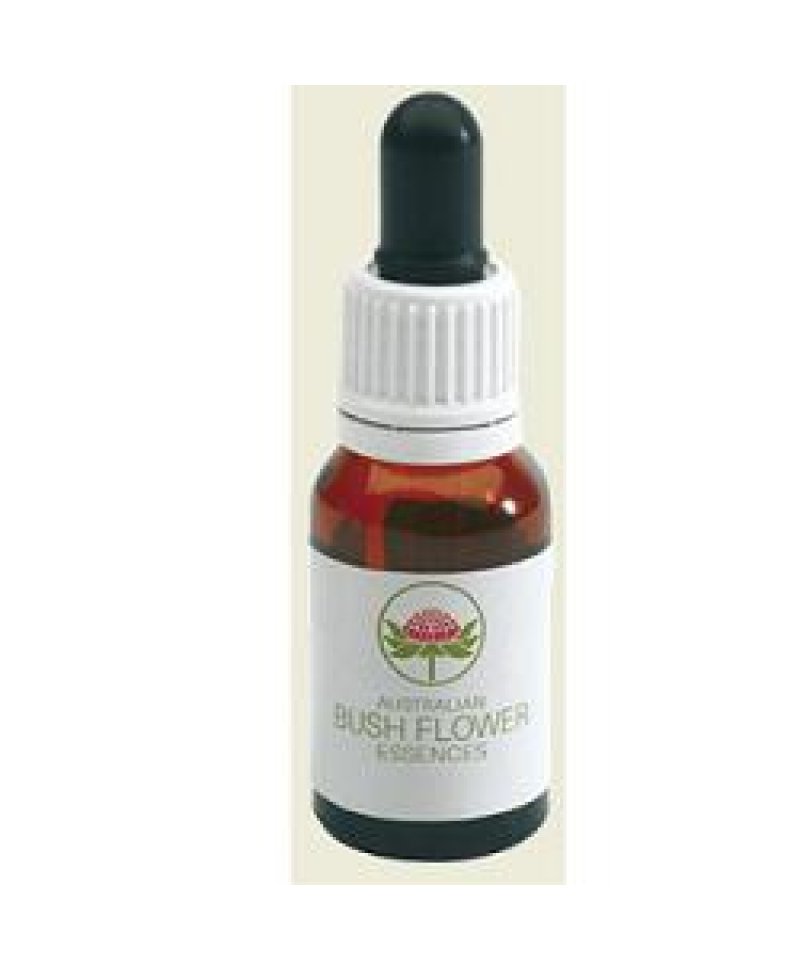 GREY SPIDER FLOWER AUSTR 15ML