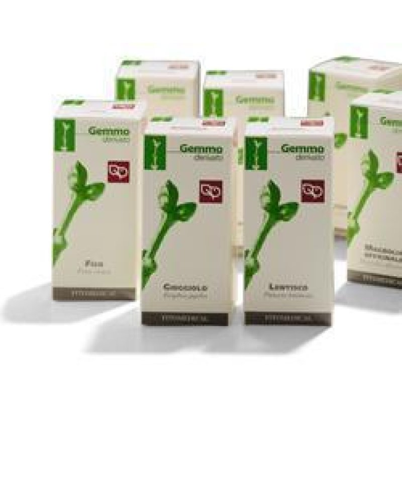 BETULLA VERRUCOSA SEMI 50ML MG