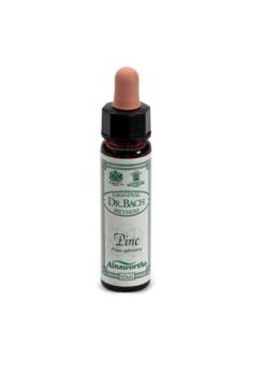 PINE F BACH 10ML (I3) AINSWORT