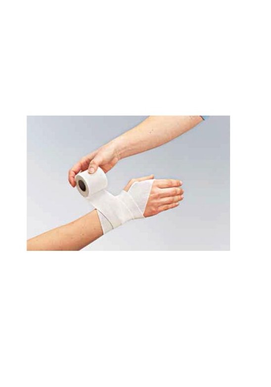 BENDA FORTELAST PLUS 10X450