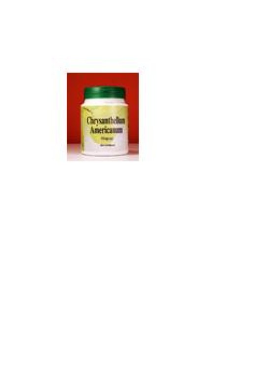 CHRYSANTELLUM AMERICAN 60CPS