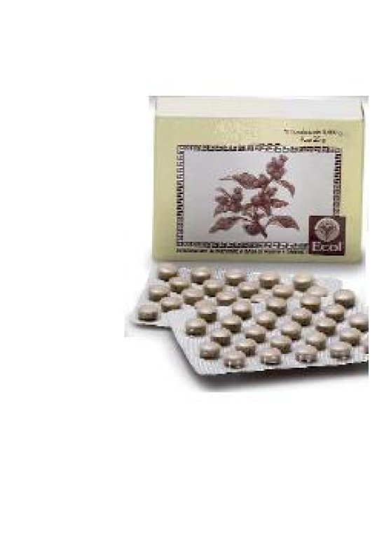 CIMICIFUGA 50TAV 500MG