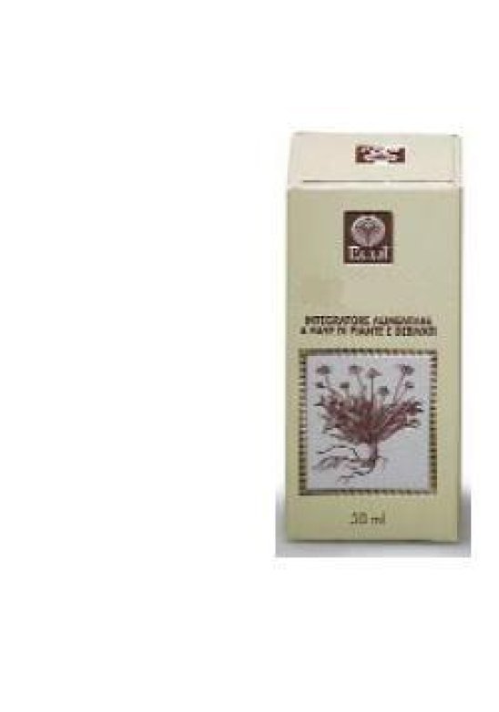 FICO GEMME ESTR ANALCO 50ML