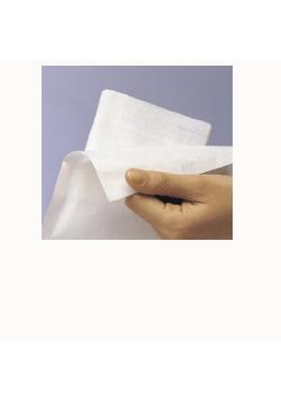 GARZA IDROF GAZIN 10X10CM 10PZ