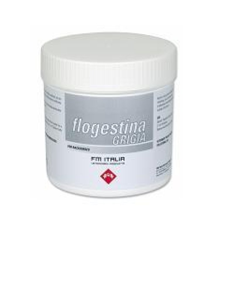 FLOGESTINA GRIGIA PASTA 1KG