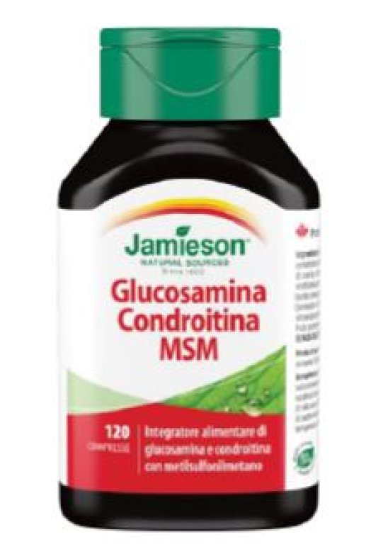 GLUCOSAMINA CONDROIT MSM120 Compresse