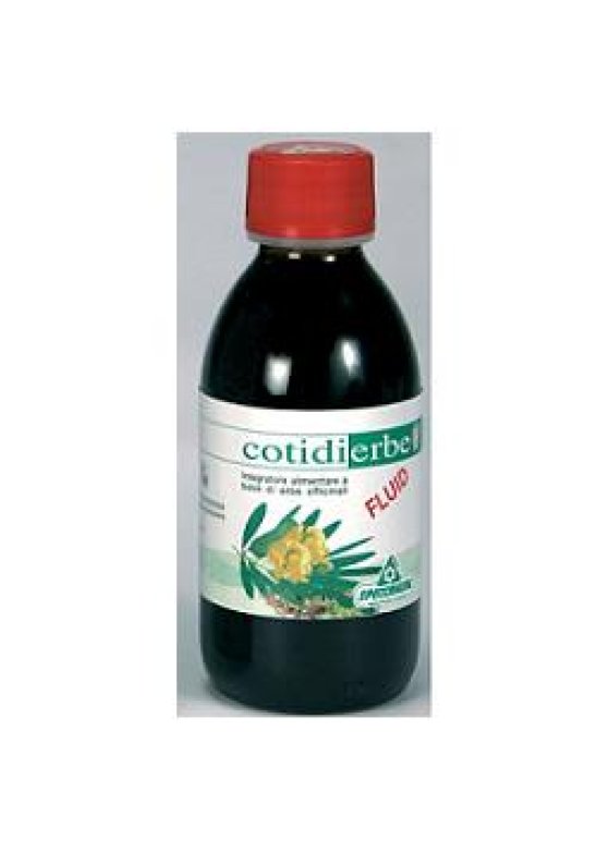 COTIDIERBE FLUID 170ML NF