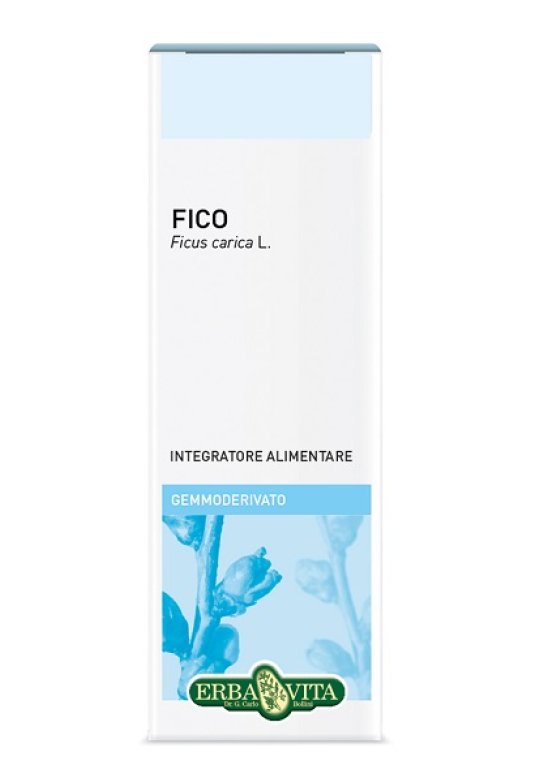 GEMMODERIVATO FICO 50ML