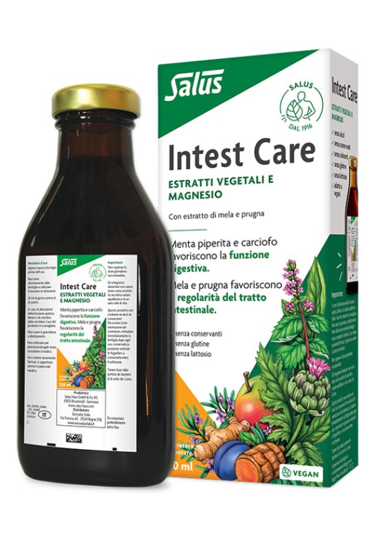 INTESTCARE LIQUIDO 250ML