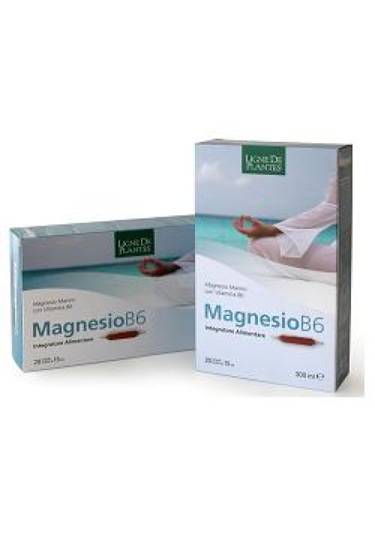 MAGNESIO B6 20AB 15ML