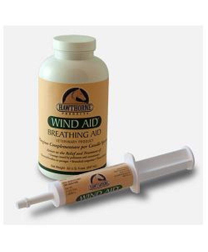 WIND AID SCIROPPO 947ML