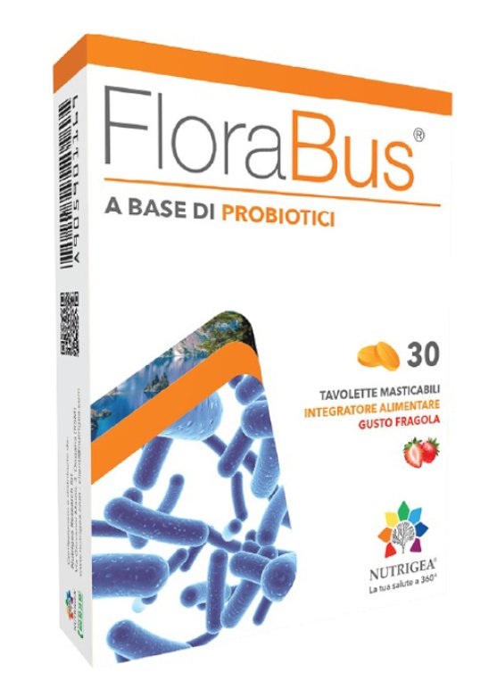 FLORABUS 30TAV