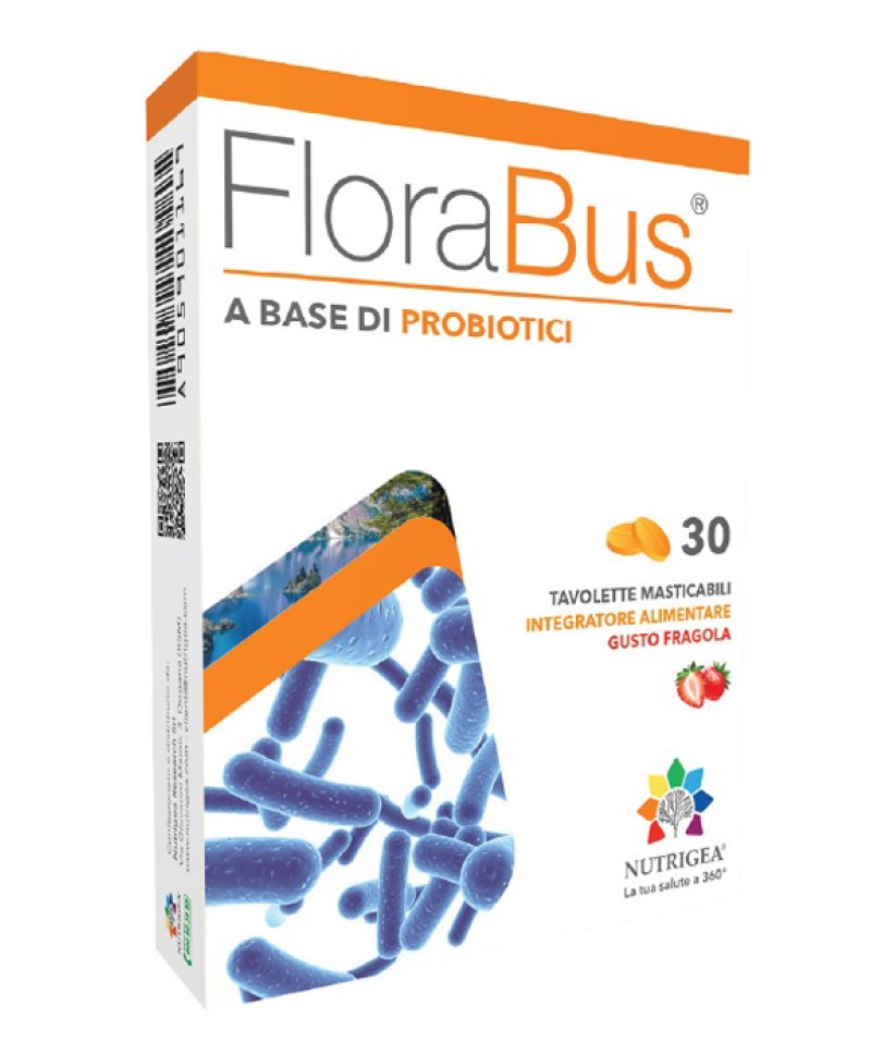 FLORABUS 30TAV