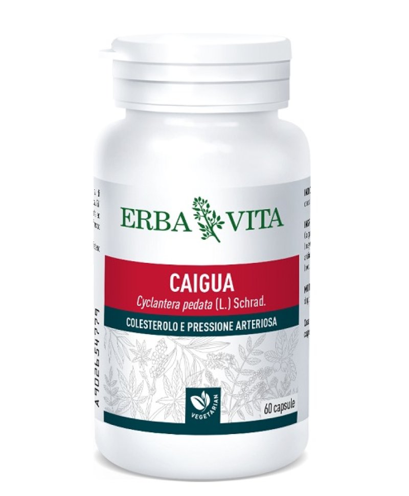 CAIGUA 60 Capsule 400MG  ERBAVITA